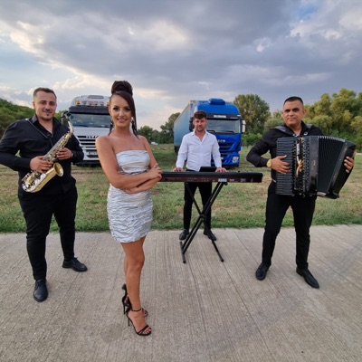 Song - Bine E Șofer Să Fii - Mihaela Sultan