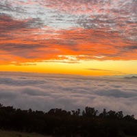 Walk With Me (feat. jANiCKA & NK Music) - Single - Arizona White