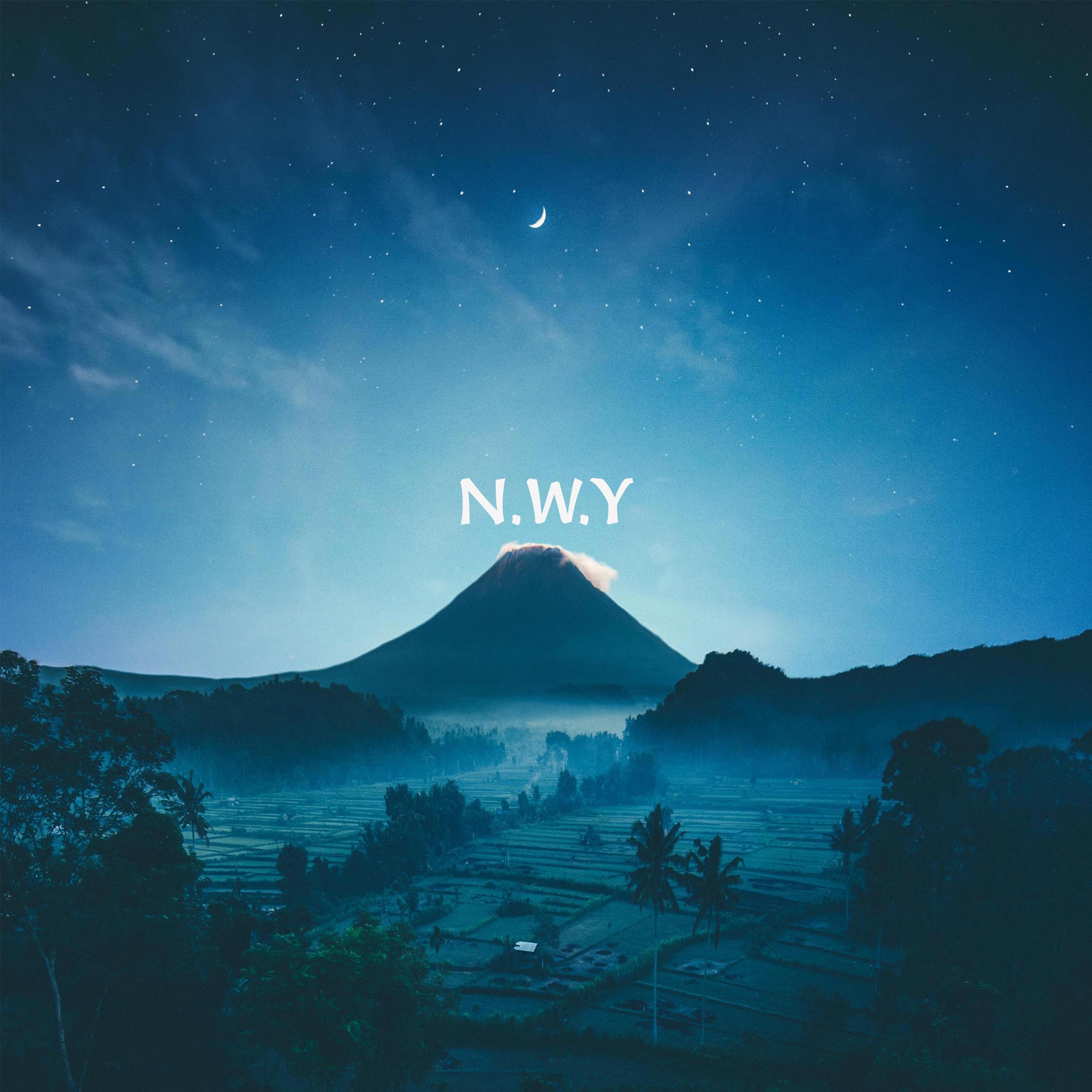 N.W.Y - Single