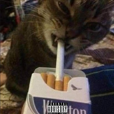 Drama Queen (feat. MILEZ 2 THA WRLD) - Single