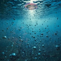 Rebirth (feat. Jemerine Chan & Ty Lowe) [Radio Edit] - Single - Concrete Disco