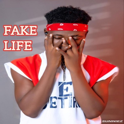 Fake Life - Single