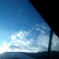 telephone calls - Single - nplsm