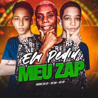 Ela Pediu Meu Zap (feat. MC GW) - Single - EO VP & XANDE DA ZS