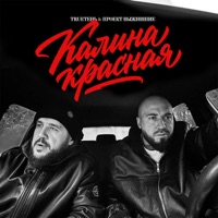 Калина красная - Single - TRUEten & Проект Выжившие