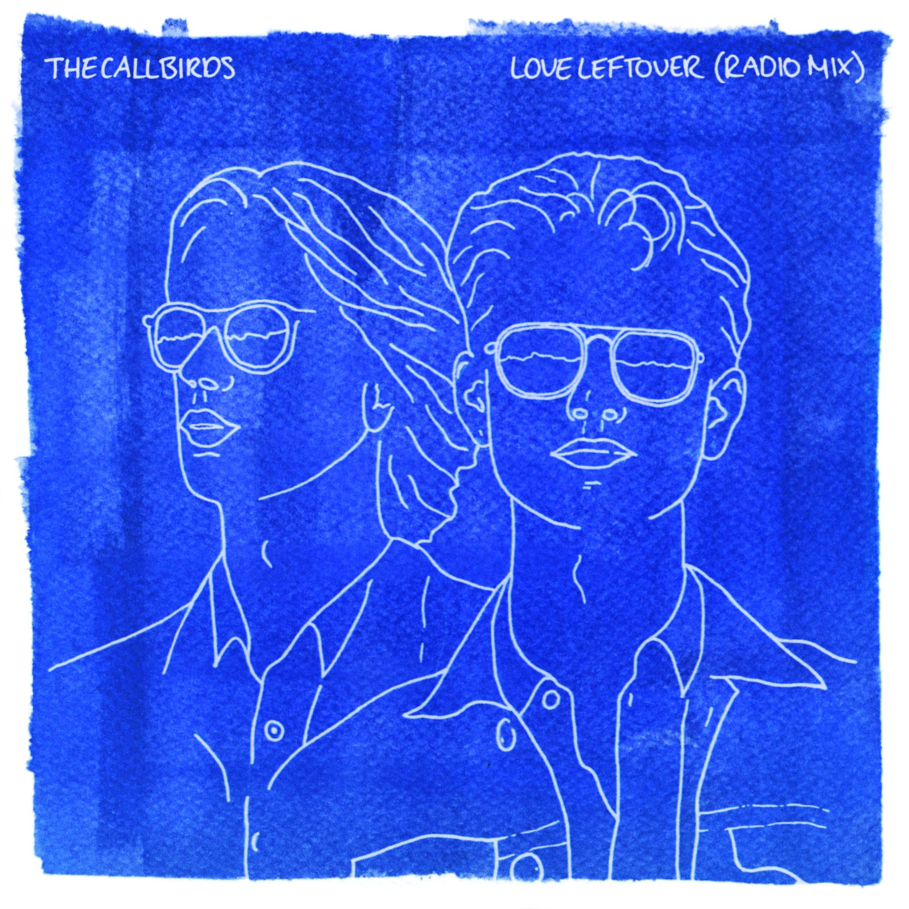 Love Leftover (Radio Mix) - Single