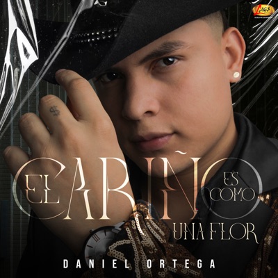 EL Cariño Es Como Una Flor - Single