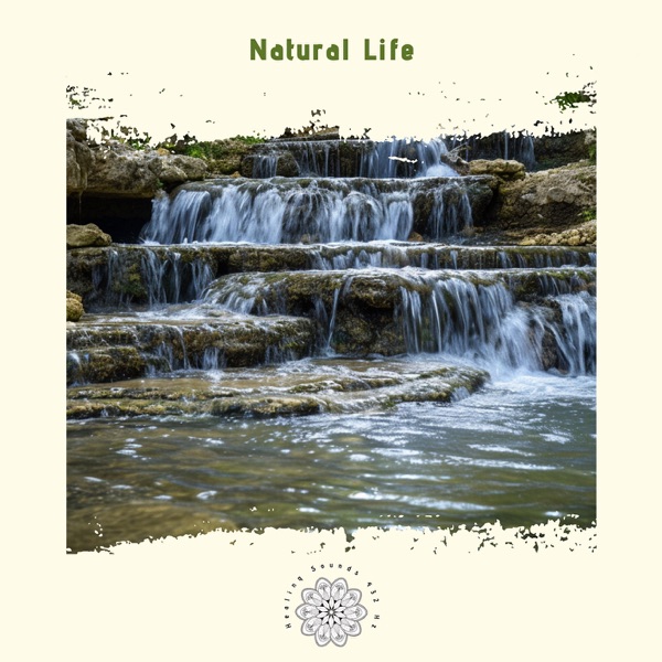 Natural Life: Harmonizing with the Earth’s Rhythms
