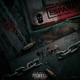 Visa (feat. W1ZZEY) BR1CEA9