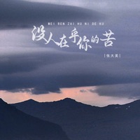 没人在乎你的苦 - Single - 张大美