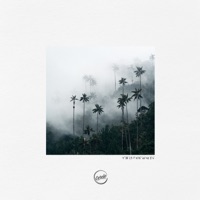 Cocora (A La Fuente) - Single - Rodrigo Gallardo