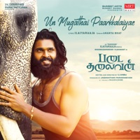 Un Mugathai Paarkkalaiyae (From 