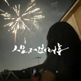 人生不过几十年 QL一星