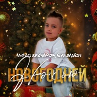 Новогодней ночью - Single - Алекс Шаумаров & SHAUMAROV