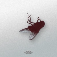 Leather bullet - EP - Damne