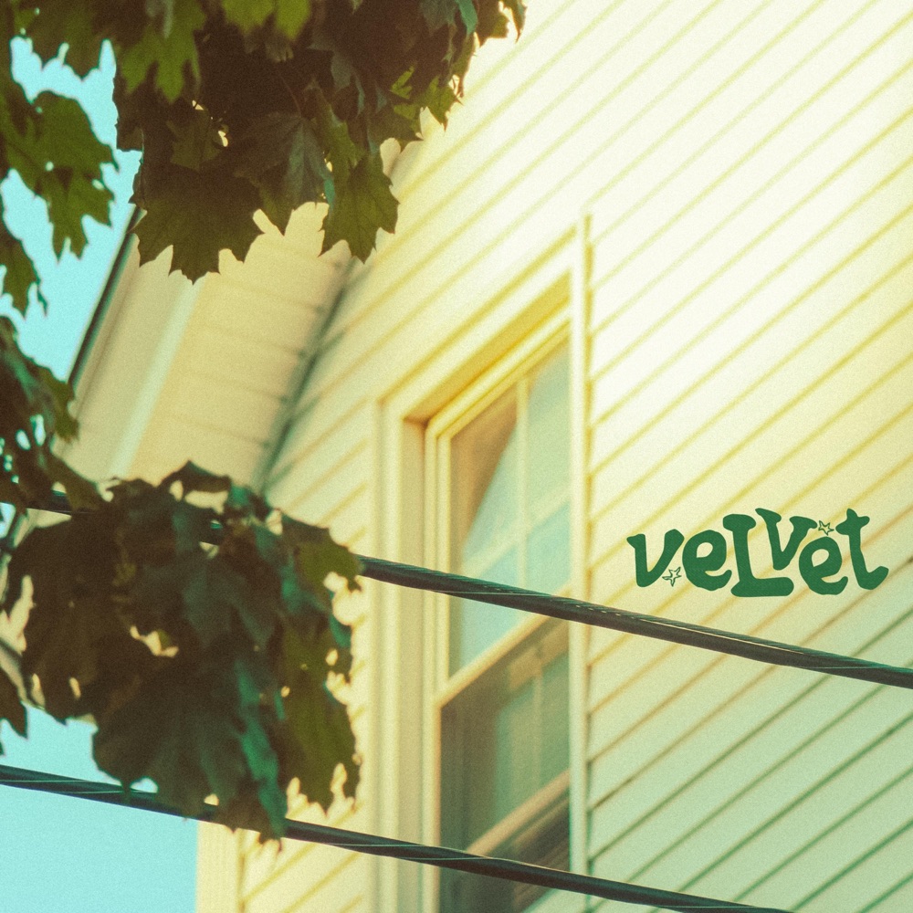 Velvet