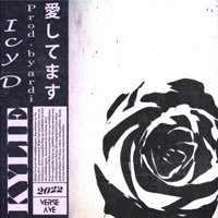 Kylie (feat. Icy D) [Slowed and Reverb] - Single - Verse Ave