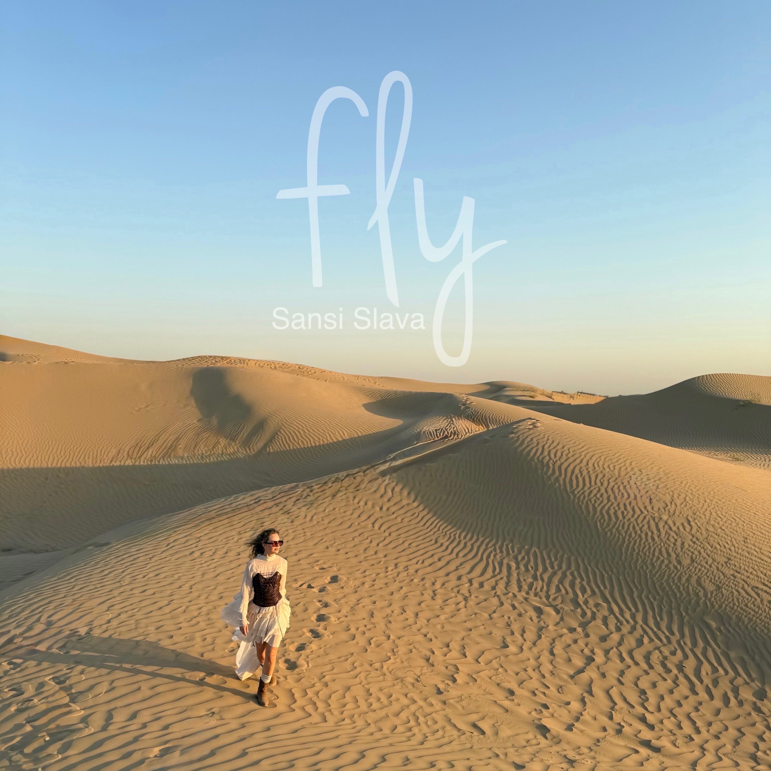 Fly - Single
