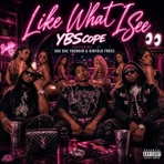 Like What I See (feat. Dae Dae Youngin & Kinfolk Fross) - Single
