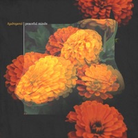 Peaceful Minds - Single - Hydrogenii
