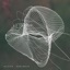 Nonlinear