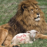 Pray to Stay Alive (Poem) - Single - N8 the Great