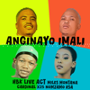 HBK Live Act, Miles Montana, Cardinal X25 & Nomzamo RSA - Anginayo Imali artwork