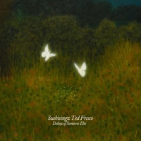 Delays of Someone Else - Single - Sushisingz & Ted Fresco