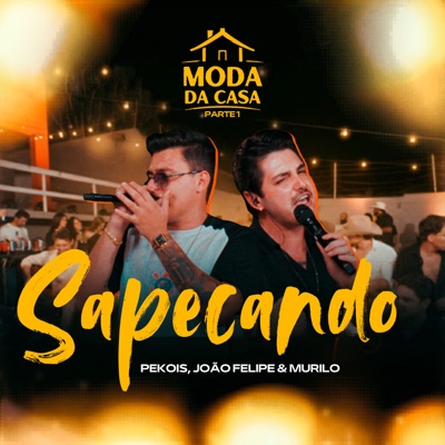 Sapecando - Single