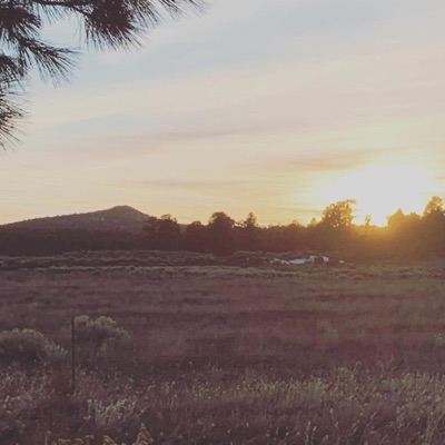 NoneOfTheAbove (feat. Soap.) - Single