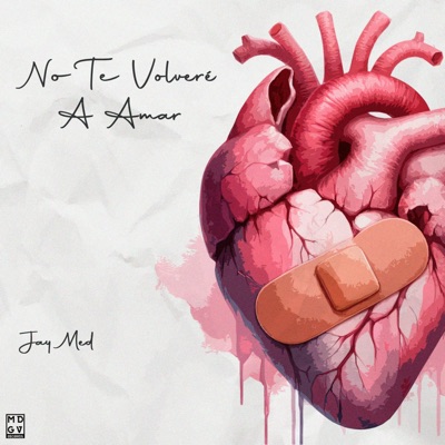 No Te Volveré a Amar - Single