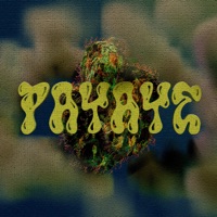 Payaye (feat. CHUPA 12) - Single - dimbee