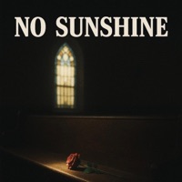 No Sunshine - Single - Max Burleigh