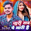 Nari Sab Pe Bhari Hai - Single