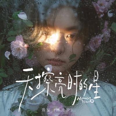 天擦亮时的星 - Single