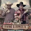 Tributo A Goiás