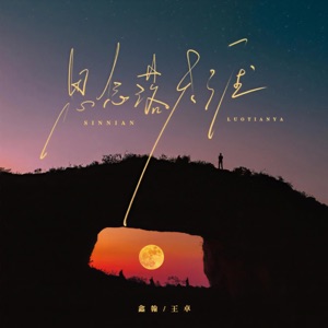思念落天涯 - Single
