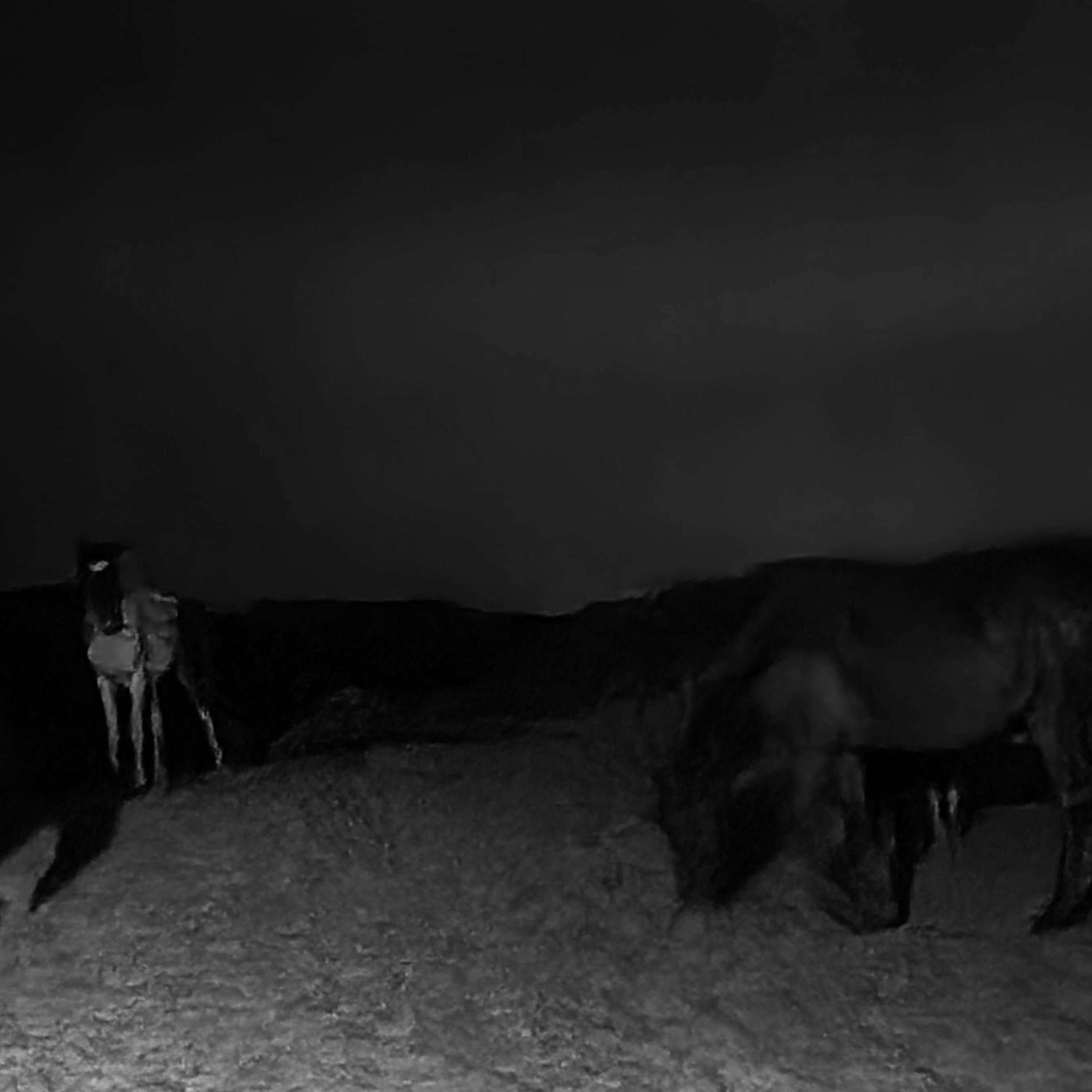 MIXTAPEI. "EVERYTHING&NOTHING."