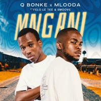 Mngani (feat. Felo Le Tee & Smoove) - Single - Q Bonke & Mlooda