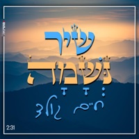 שיר נשמה - Single - Chaim Gold