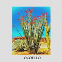 Ocotillo - Single - comix