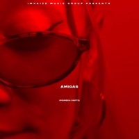 Amigas (Primera Parte) - Single - DJ Chilli Flakes