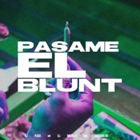 Pasame el Blunt RKT (feat. Erredoblebe) - Single - Dj Plaga