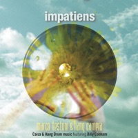 Impatiens (Caisa & Hang Drum Music) - Marco Testoni & Hang Camera