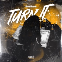 Turn It - Single - BeeBars