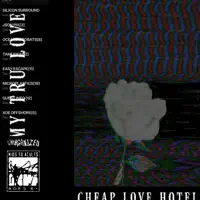 SILICON SURROUND — cheap love hotel