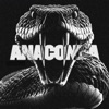 Anaconda