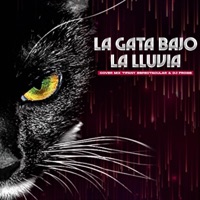 La Gata Bajo la Lluvia (feat. Tifany Espectacular) - Single - Mr Frog's