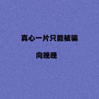 真心一片只能被骗 - Single - 向晚晚