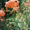 Brennan Wedl & Waxahatchee - Six O'clock News